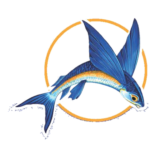 Flyingfish Capital logo